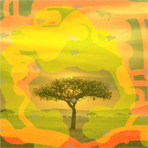 Album art with a tree